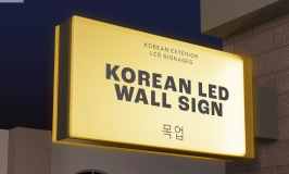 Portable Light Box
