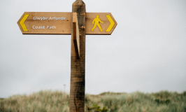 Wooden Displays